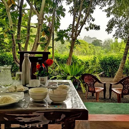 Sigiriya Palace View Экстерьер фото