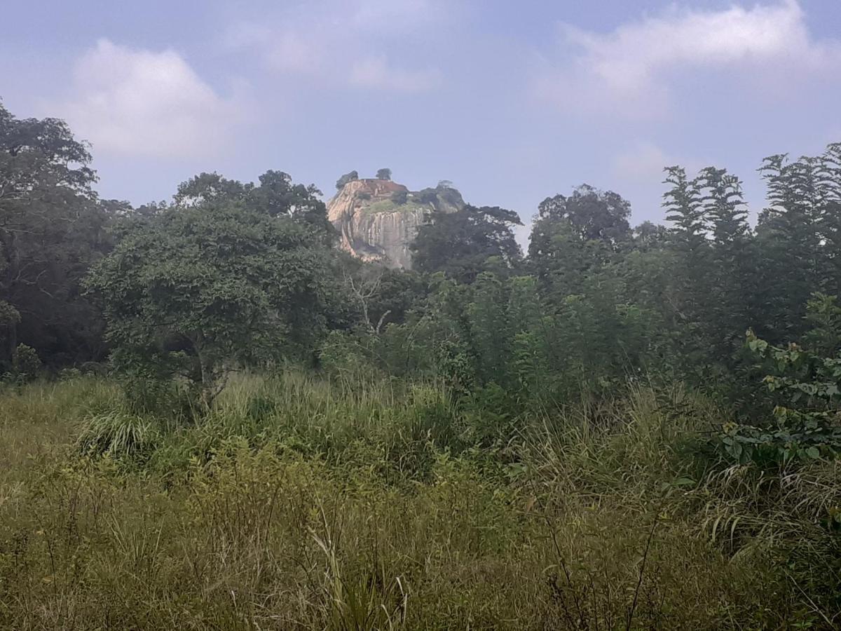 Sigiriya Palace View Экстерьер фото